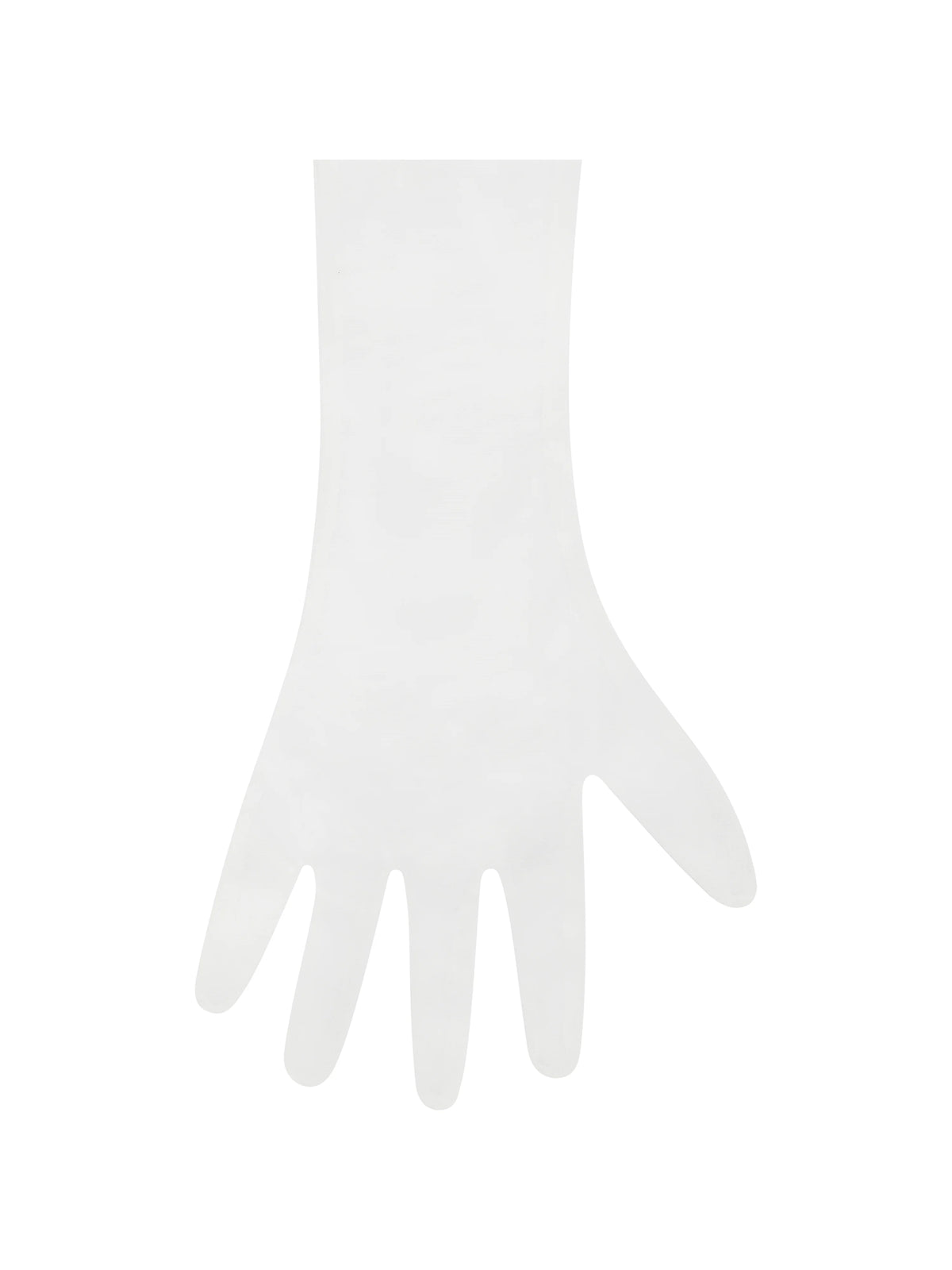 Quinn White Feather Trimmed Opera Length Gloves