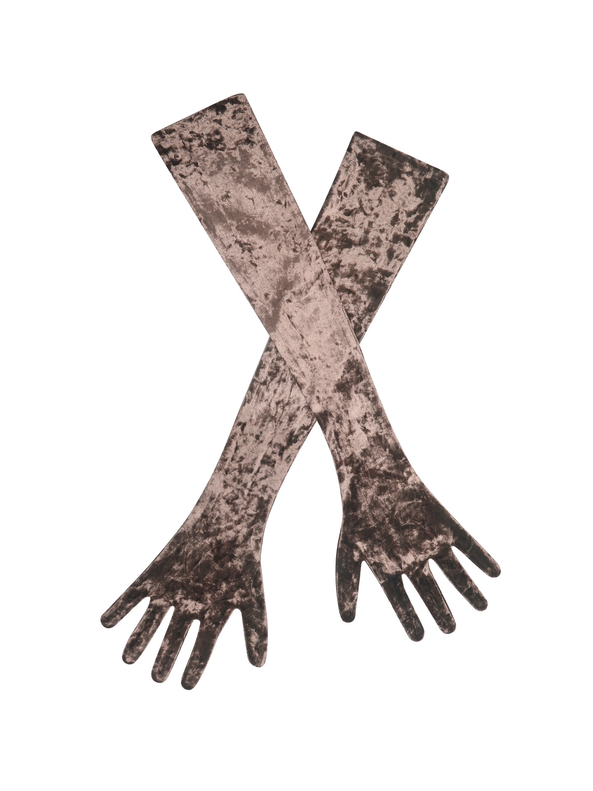Tess Coffee Velvet Opera Length Gloves